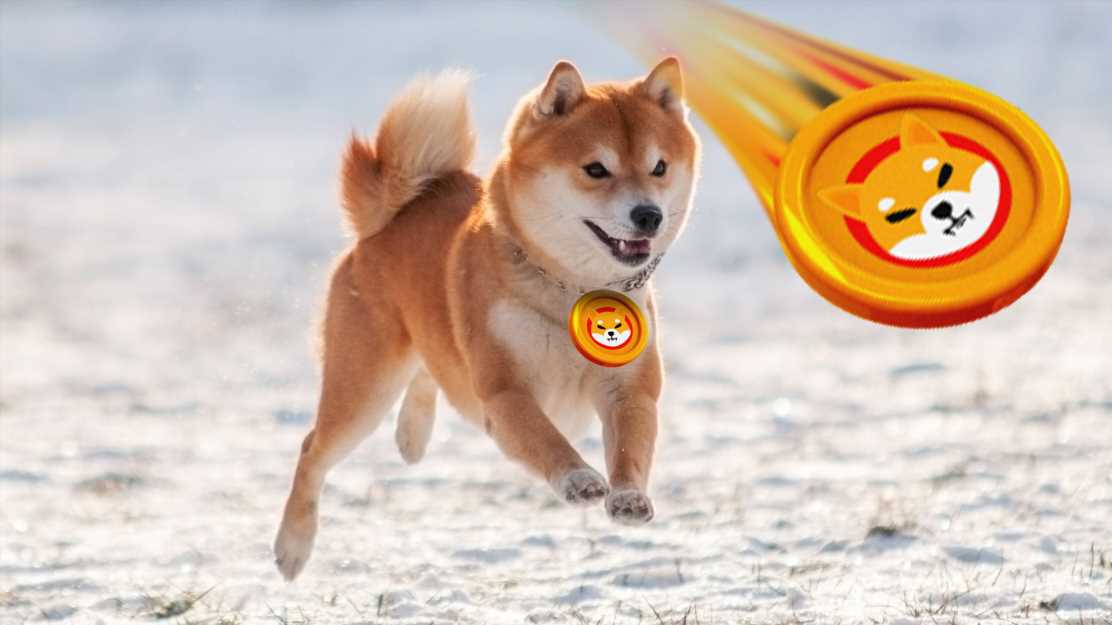 Shiba Inu Prediction: 24% Price Rally Impending By Month End