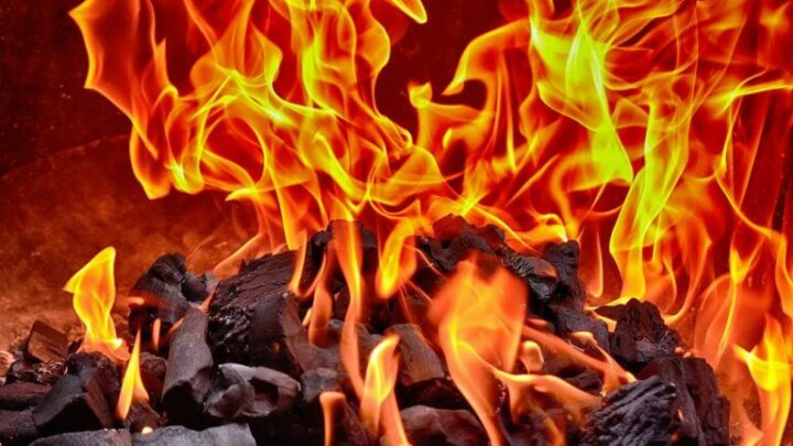 Shibburn Team Clarifies Impact of Token Burns on $SHIB Price