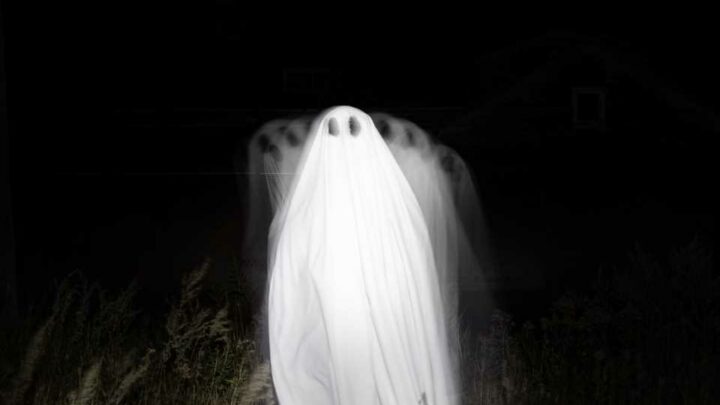 Silk Road's Ghosts Haunt Bitcoin Market As US Government Moves 9,800 BTC