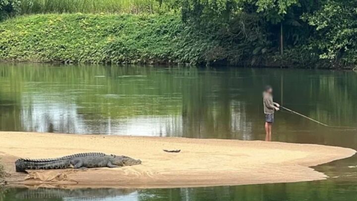 British expat loses it over Aussie fisherman&apos;s &apos;stupid&apos; act with croc