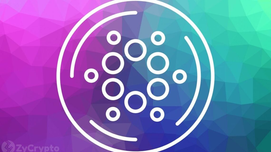 'Cardano Is Here To Stay,' Says Creator Charles Hoskinson As ADA Continues To Unravel