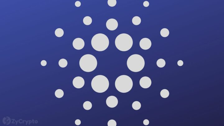 Cardano Whales Loading Up as ADA Price Maintains Sideways Movement