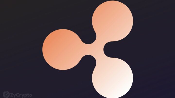 Investment Banker Declarant Gets Approval To Enter The SEC vs Ripple Case