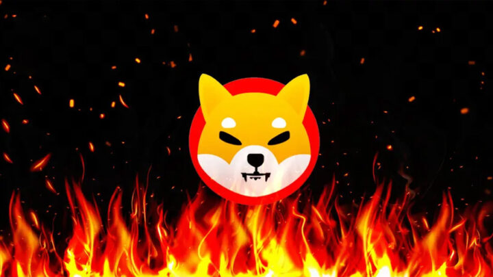 SHIB Burn Rate Jump 1,100% Amid Expectations Of Shibarium Relaunch
