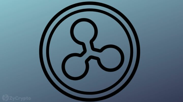 US SEC Slammed for Misusing XRP Reports in Ripple Lawsuit