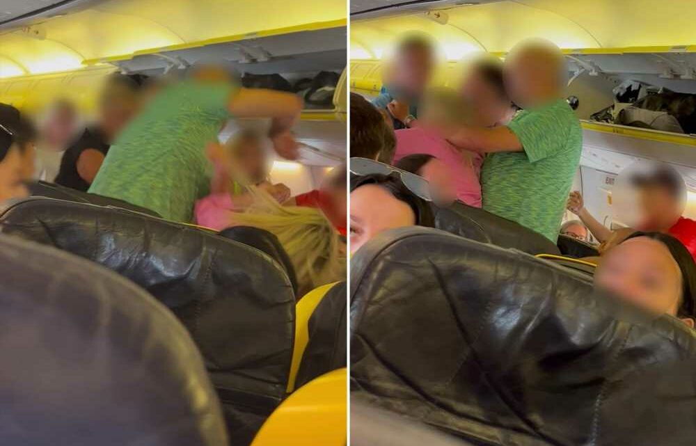 Watch shocking moment out-of-control 'drunk' passenger brawls on Ryanair flight to Ibiza over 'barging through queue' | The Sun