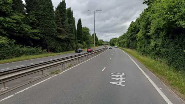 Man and 12-year-old girl die following collision with tree in Telford