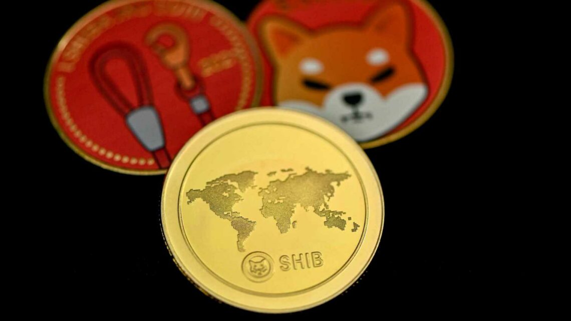 Shiba Inu Community Sounds Warning Alarm As Scammers Siege Shibarium