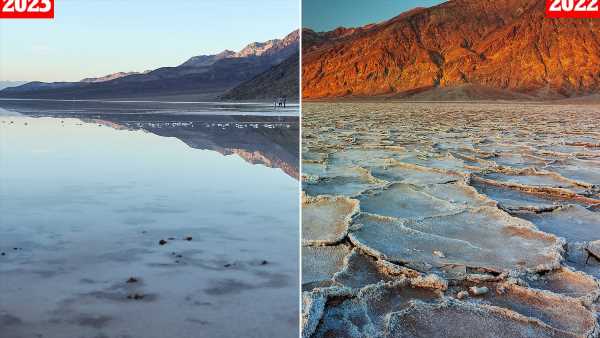 Blooming hell! Death Valley springs to life after summer rains