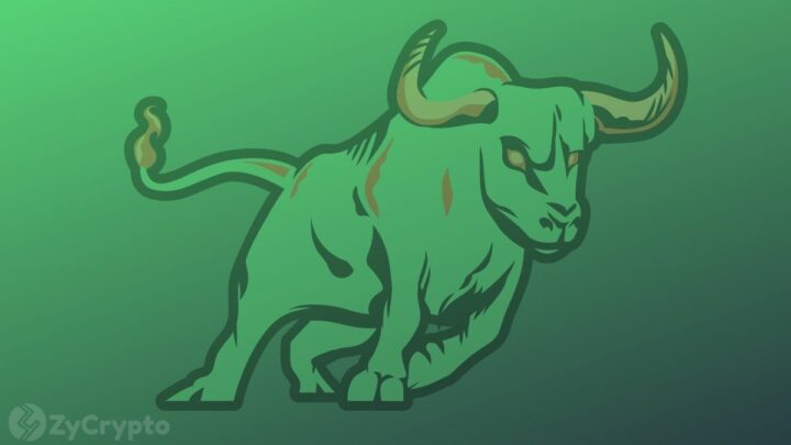 Cathie Wood More bullish than ever that Bitcoin will tap $1.5 million