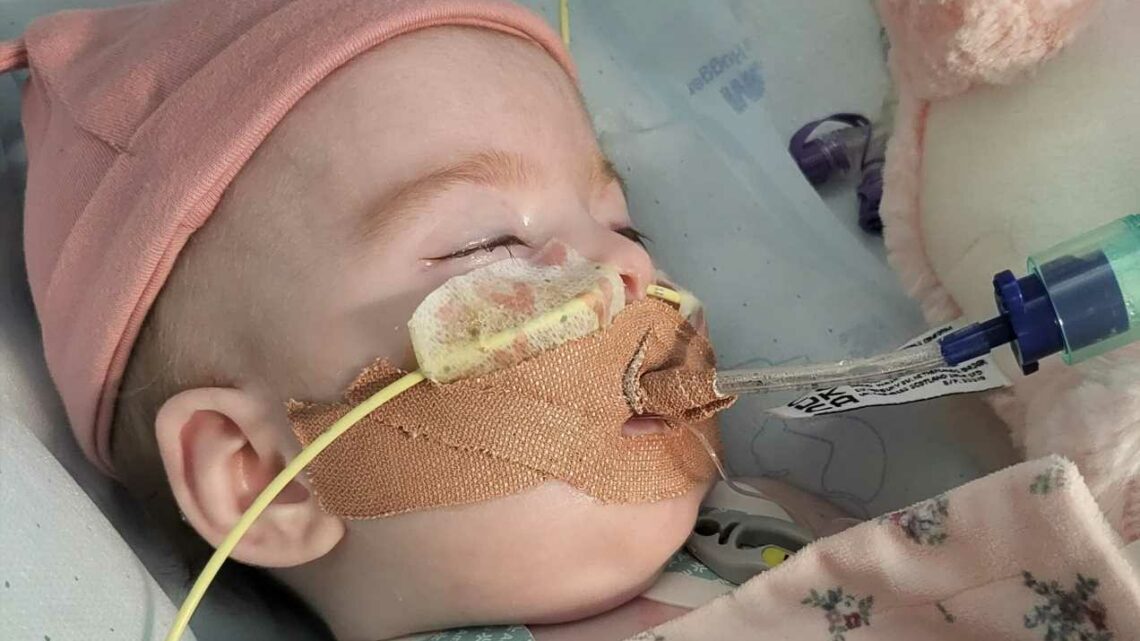 Indi Gregory's parents lose battle to keep 7-month-old who suffers from same disease as Charlie Gard on life support | The Sun