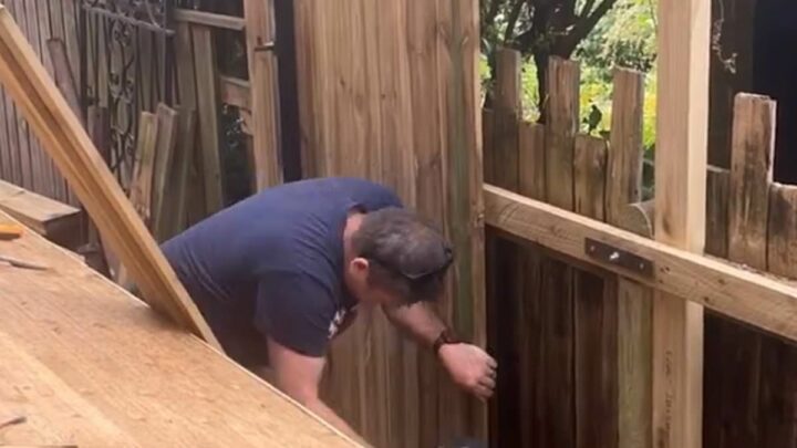 &apos;Neighbour built hazardous fence on our property so we got them back&apos;