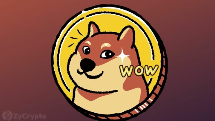 Dogecoin Primed for Meteoric Price Growth Amid Surging Institutional Interest in DOGE