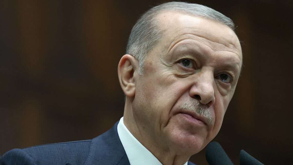 Turkey&apos;s president Erdogan declares Israel a terrorist state