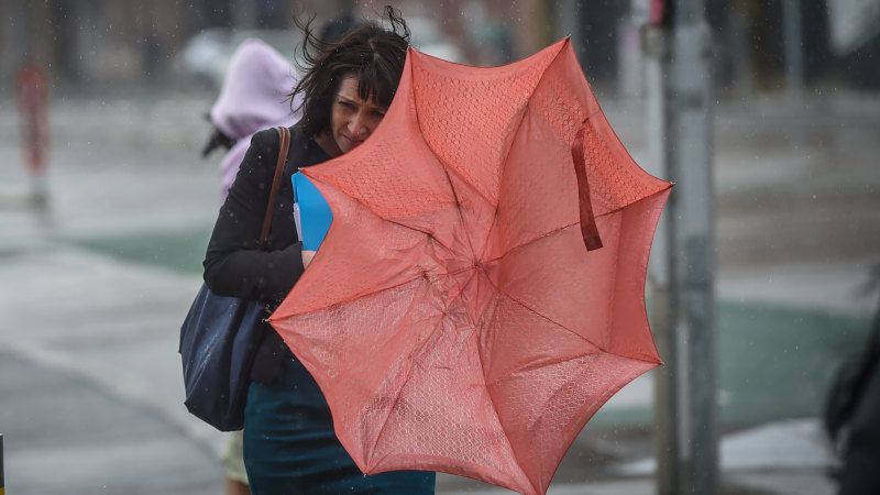 Your giant umbrella is very stylish, but you need to stop being a brolly bully