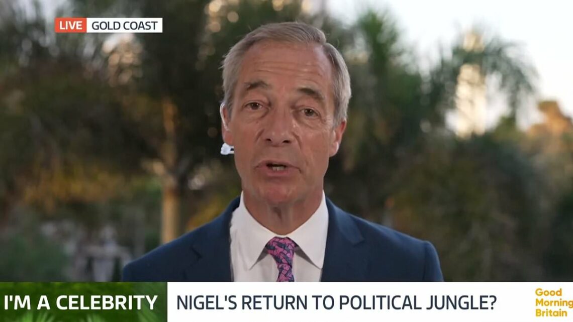 Nigel Farage hints he COULD rejoin the Tory party on a &apos;dream ticket&apos;